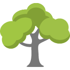 Englewood Tree Removal Service